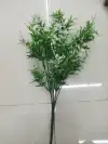 Five small maple leaves details Picture